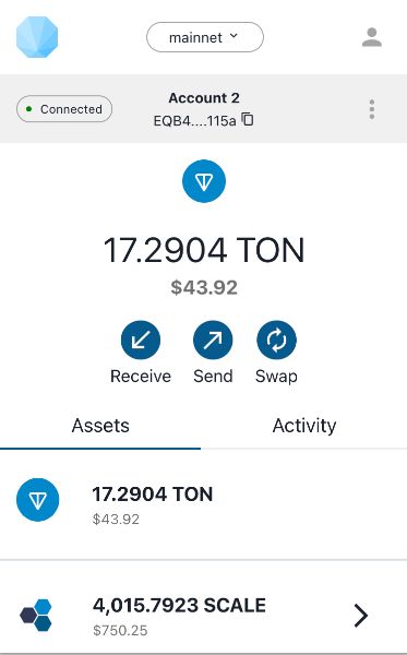 skärmdump från openmask kryptoplånbok